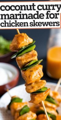 Coconut_Curry_Marinade_for_Chi_1