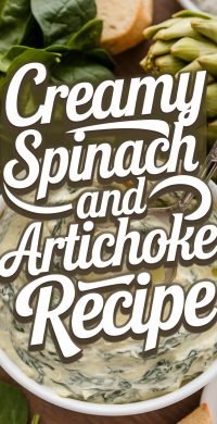 Creamy_Spinach_and_Artichoke_D_1_20250504_173344_8699