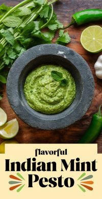 Flavorful_Indian_Mint_Pesto_1_20250516_114951_4024
