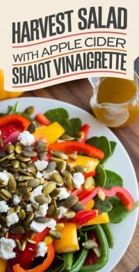 Harvest_Salad_with_Apple_Cider_1_20250419_174347_6544