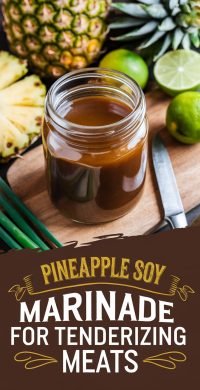 Pineapple_Soy_Marinade_for_Ten_1