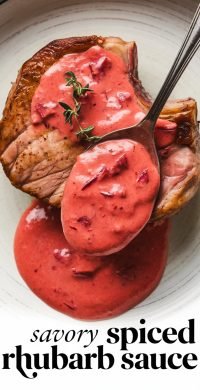 Savory_Spiced_Rhubarb_Sauce_1_20250520_133419_9617