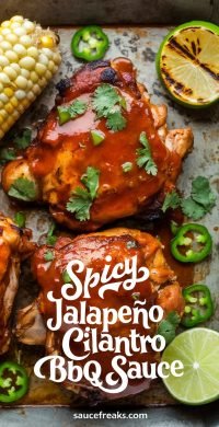 Spicy_Jalapeño_Cilantro_BBQ_Sa_1_20250624_214916_9311