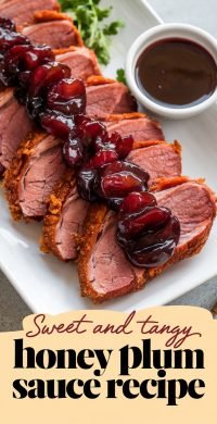 Sweet_and_Tangy_Honey_Plum_Sau_1_20250520_173533_3598