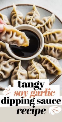 Tangy_Soy_Garlic_Dipping_Sauce_1