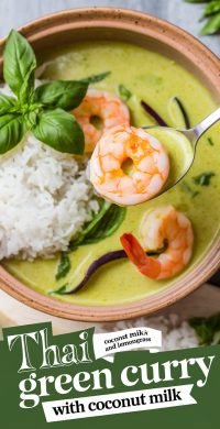 Thai_Green_Curry_with_Coconut_1