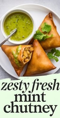 Zesty_Fresh_Mint_Chutney_1