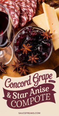 concord_grape_star_anise_compote_01